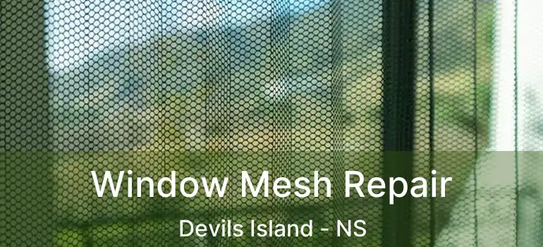  Window Mesh Repair Devils Island - NS