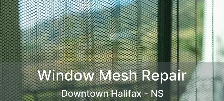  Window Mesh Repair Downtown Halifax - NS