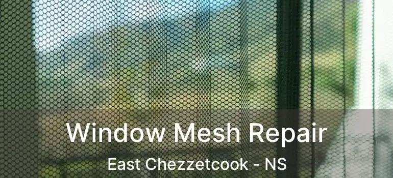  Window Mesh Repair East Chezzetcook - NS