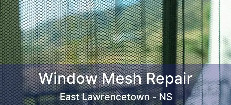  Window Mesh Repair East Lawrencetown - NS