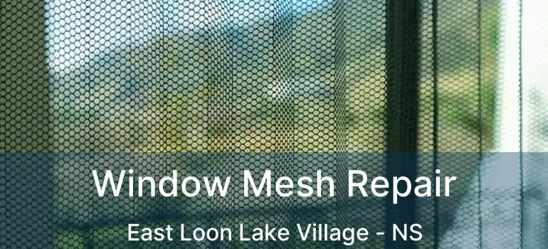  Window Mesh Repair East Loon Lake Village - NS