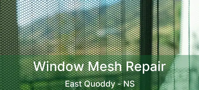  Window Mesh Repair East Quoddy - NS