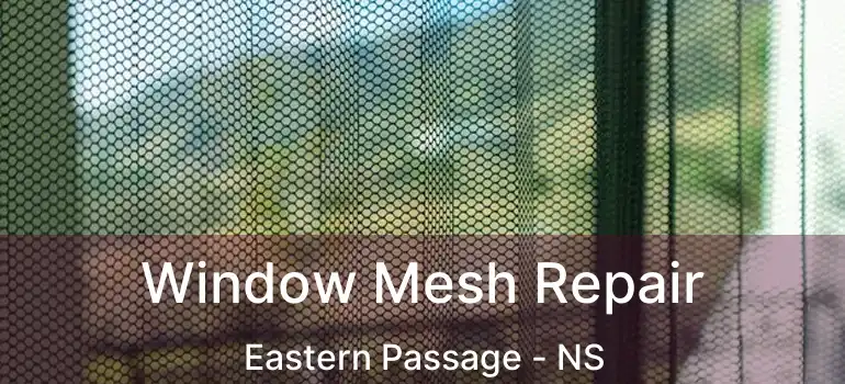  Window Mesh Repair Eastern Passage - NS