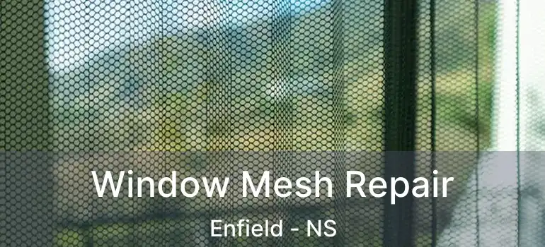  Window Mesh Repair Enfield - NS