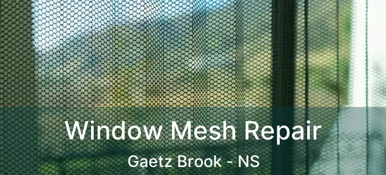  Window Mesh Repair Gaetz Brook - NS