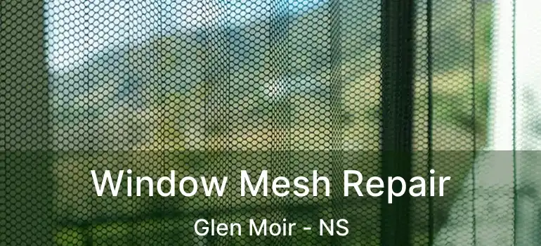  Window Mesh Repair Glen Moir - NS