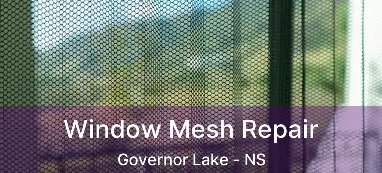  Window Mesh Repair Governor Lake - NS