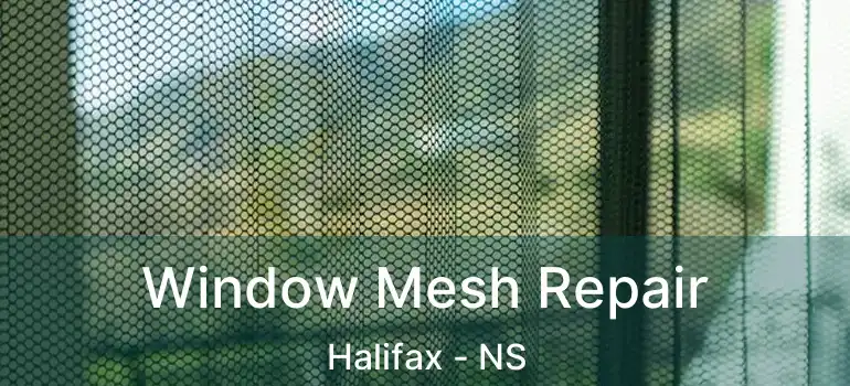  Window Mesh Repair Halifax - NS