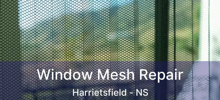  Window Mesh Repair Harrietsfield - NS