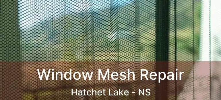  Window Mesh Repair Hatchet Lake - NS