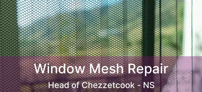  Window Mesh Repair Head of Chezzetcook - NS