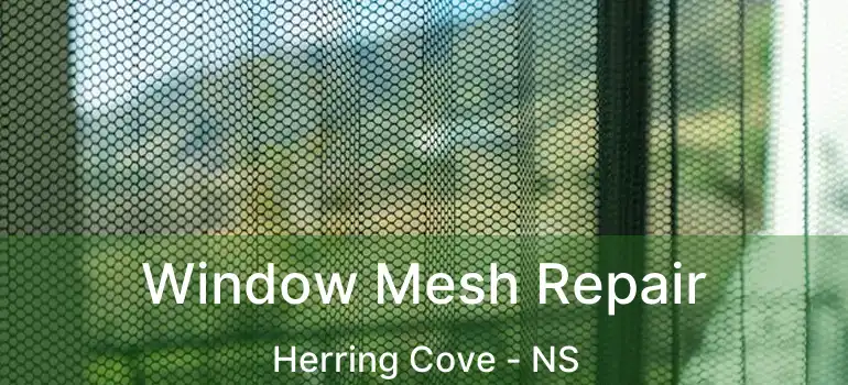  Window Mesh Repair Herring Cove - NS