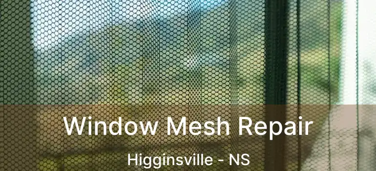  Window Mesh Repair Higginsville - NS