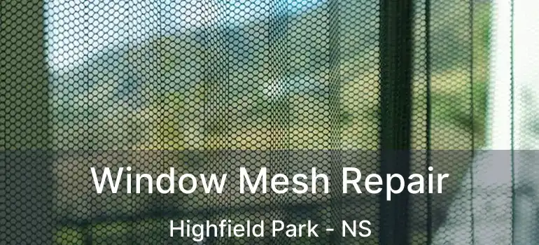  Window Mesh Repair Highfield Park - NS