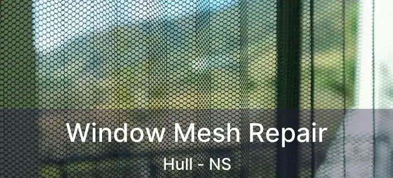  Window Mesh Repair Hull - NS