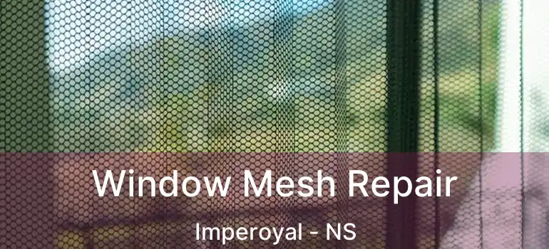  Window Mesh Repair Imperoyal - NS