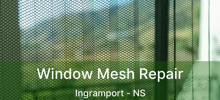  Window Mesh Repair Ingramport - NS