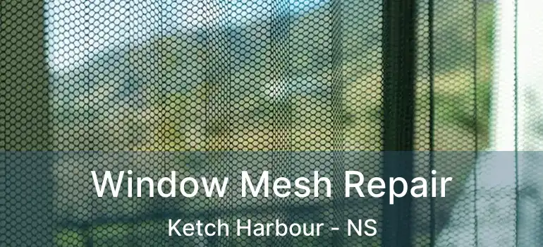  Window Mesh Repair Ketch Harbour - NS