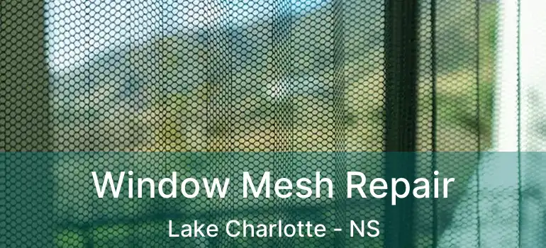  Window Mesh Repair Lake Charlotte - NS