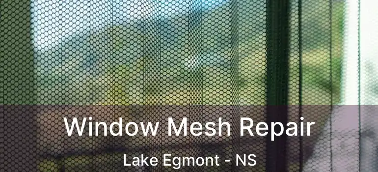  Window Mesh Repair Lake Egmont - NS