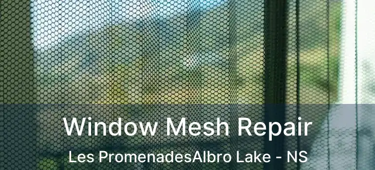  Window Mesh Repair Les PromenadesAlbro Lake - NS