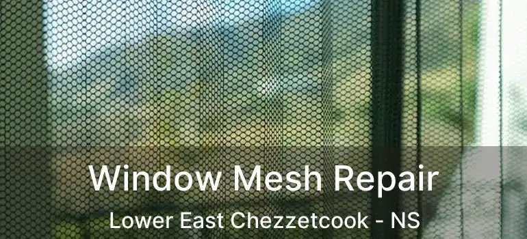  Window Mesh Repair Lower East Chezzetcook - NS