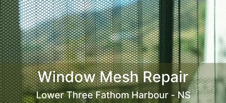  Window Mesh Repair Lower Three Fathom Harbour - NS