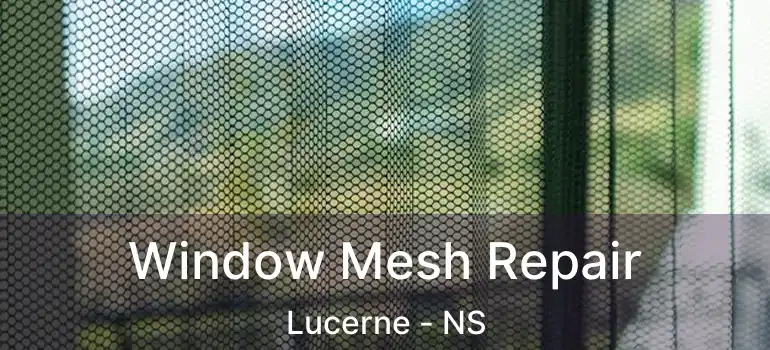  Window Mesh Repair Lucerne - NS