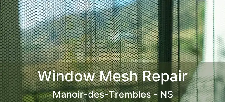  Window Mesh Repair Manoir-des-Trembles - NS