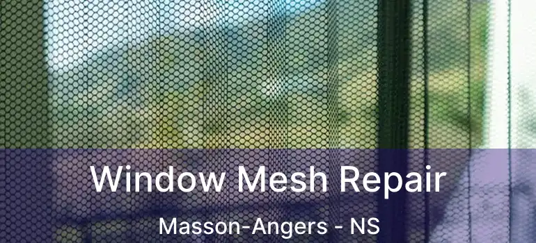  Window Mesh Repair Masson-Angers - NS