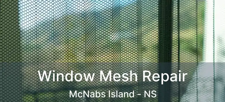  Window Mesh Repair McNabs Island - NS