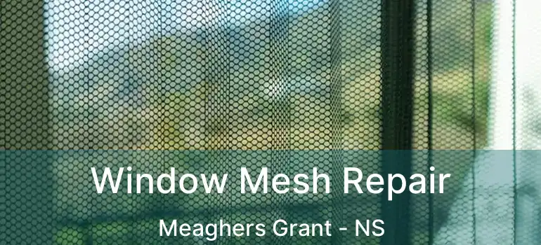  Window Mesh Repair Meaghers Grant - NS