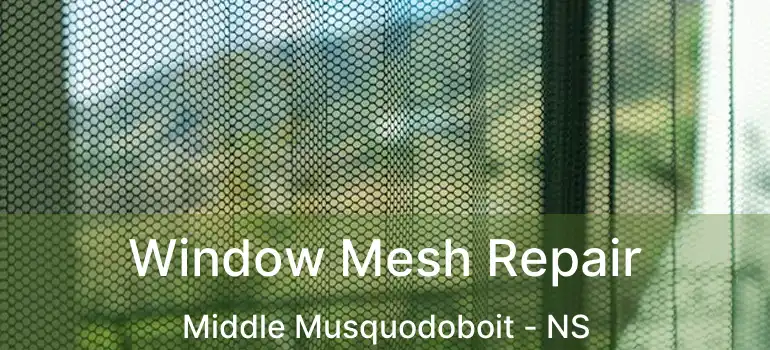  Window Mesh Repair Middle Musquodoboit - NS