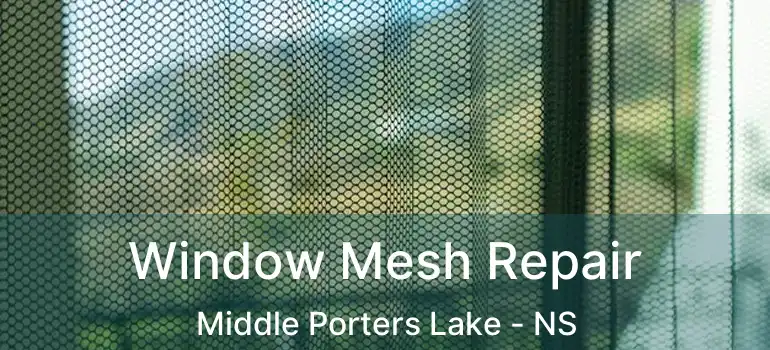  Window Mesh Repair Middle Porters Lake - NS