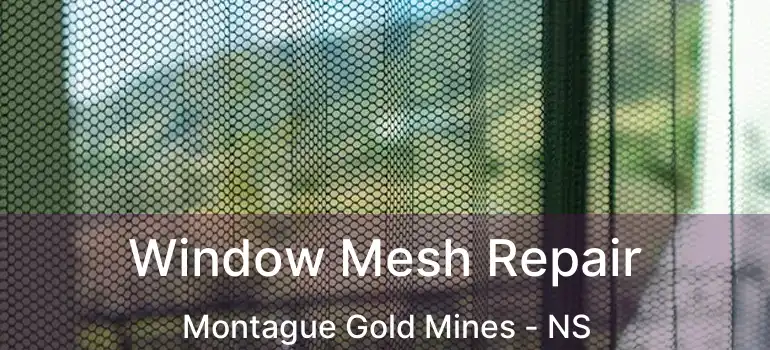  Window Mesh Repair Montague Gold Mines - NS