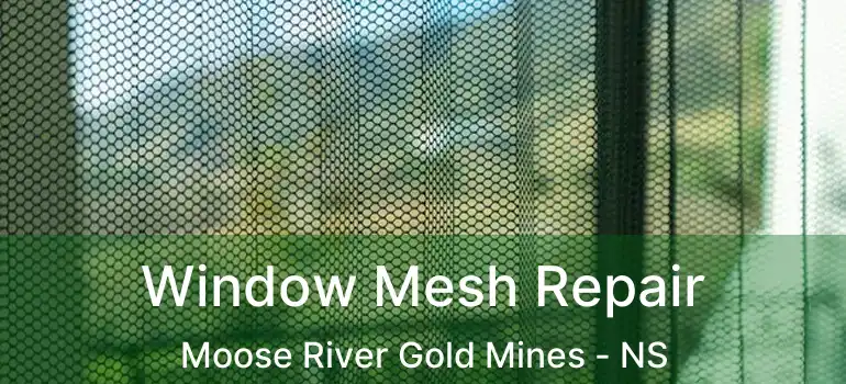  Window Mesh Repair Moose River Gold Mines - NS