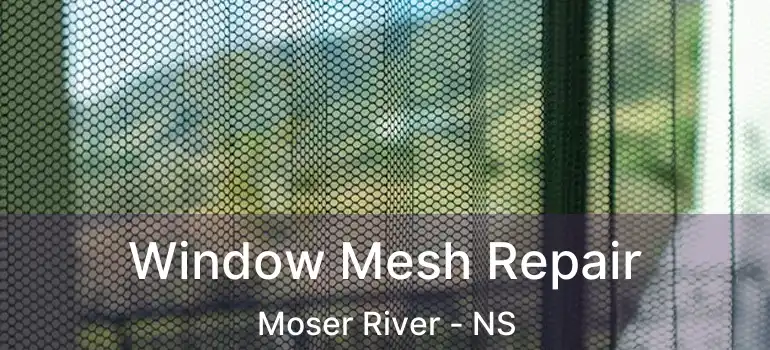  Window Mesh Repair Moser River - NS