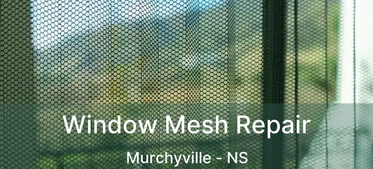  Window Mesh Repair Murchyville - NS