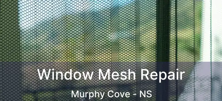  Window Mesh Repair Murphy Cove - NS