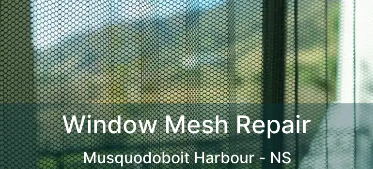  Window Mesh Repair Musquodoboit Harbour - NS