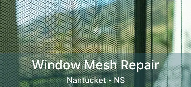  Window Mesh Repair Nantucket - NS