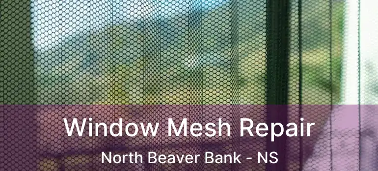  Window Mesh Repair North Beaver Bank - NS