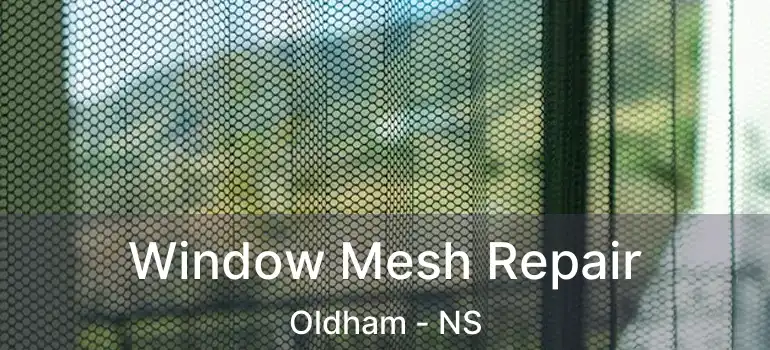  Window Mesh Repair Oldham - NS