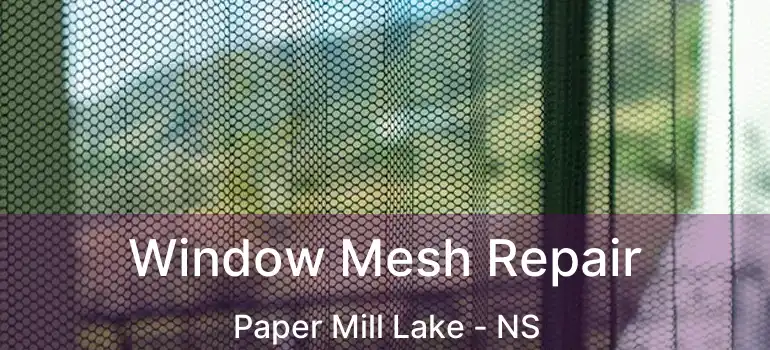  Window Mesh Repair Paper Mill Lake - NS