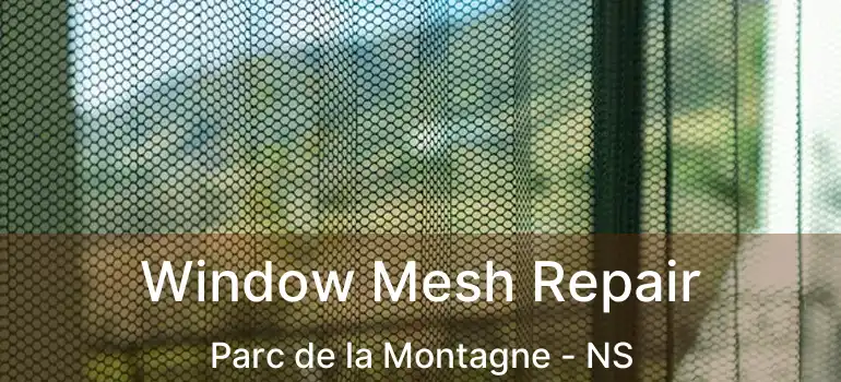  Window Mesh Repair Parc de la Montagne - NS