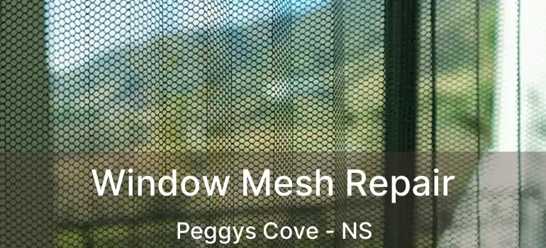  Window Mesh Repair Peggys Cove - NS