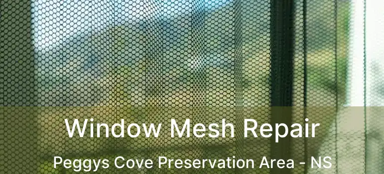  Window Mesh Repair Peggys Cove Preservation Area - NS