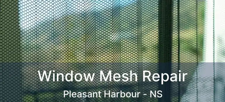  Window Mesh Repair Pleasant Harbour - NS