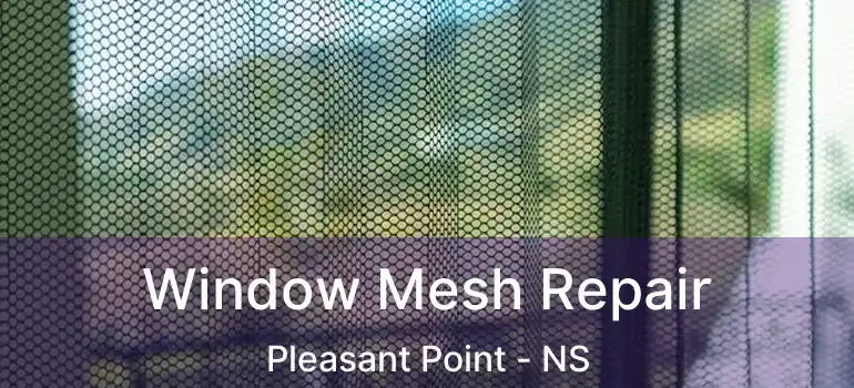  Window Mesh Repair Pleasant Point - NS