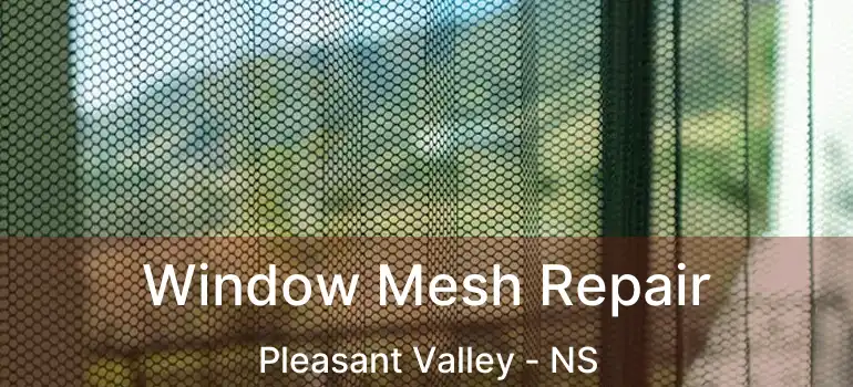  Window Mesh Repair Pleasant Valley - NS